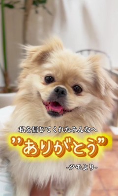 これからは幸せにね