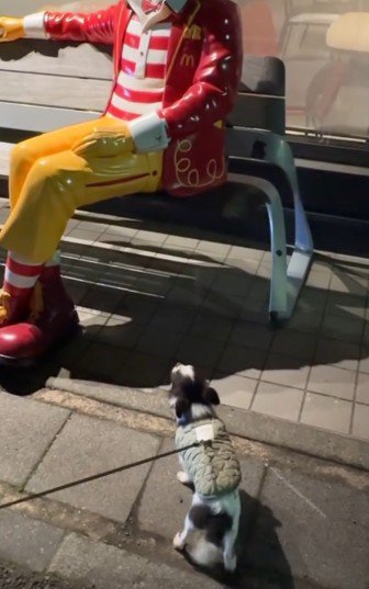 それは人じゃない!!