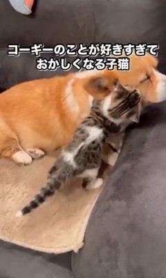 めげずにアピール♡
