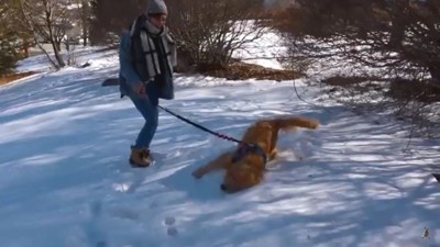 雪の上でスリスリするジョイくん