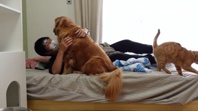 体調不良時のよもぎちゃん&だいず君の対応5