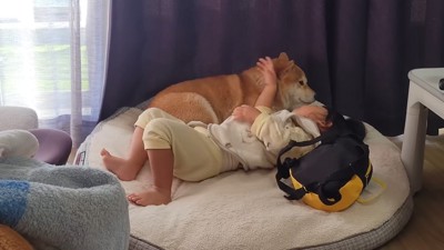 お昼寝ももちろん添い寝