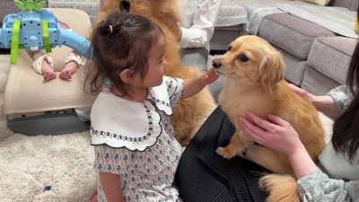 「可愛い！」