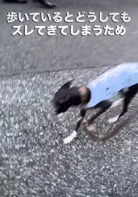 もう少しだけ改良が必要