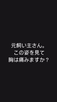 飼い主に持ち込まれたのは…