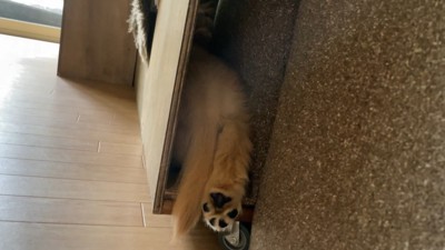 隙間にすっぽり！