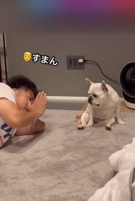 謝る飼い主