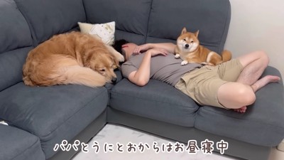 リビングでまったり