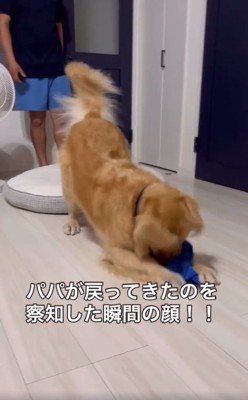 パパに気づかないウィルくん