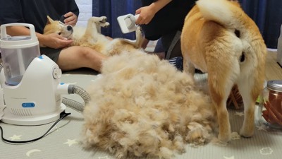 5分で山盛りに!!