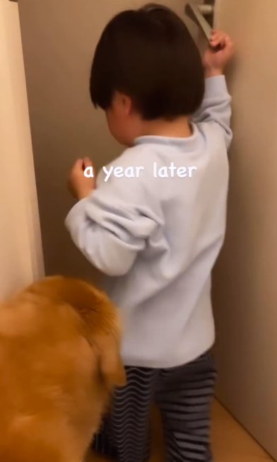 トイレを出入りするゴールデンレトリバーと幼い男の子