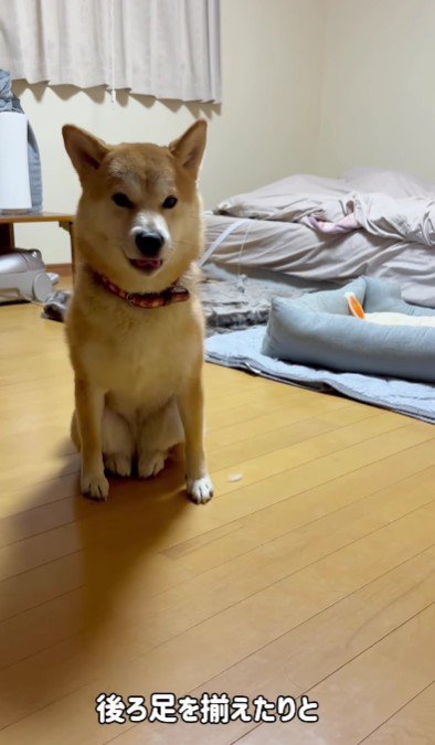 猫みたいな座り方…♡