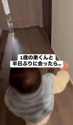 歩き出す弟くん