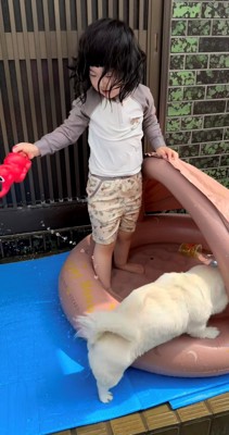 プールに入ろうとする犬と、じょうろを持っている女の子