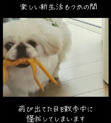 溺愛していたが…