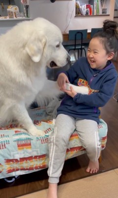 サンちゃんと女の子のやり取り6