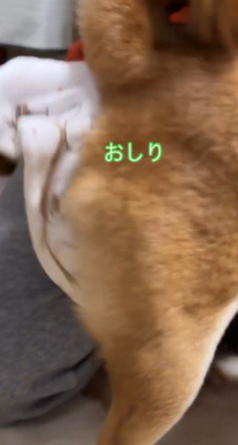 お尻も拭いて…