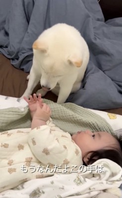 顔に近づく赤ちゃんの手2