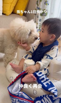 孫を預かった時のチャイちゃん