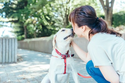 散歩中に褒められる犬