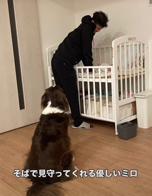優しく寄り添う