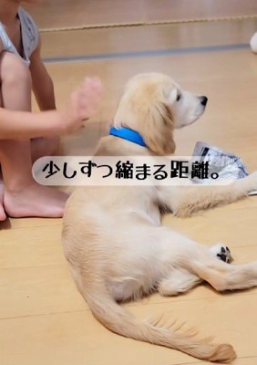 少しずつ警戒心が和らいだ