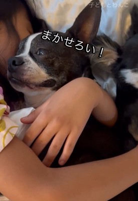 頼もしいたま君