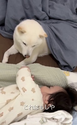 布団を握る赤ちゃん