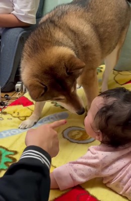 反応をチェック