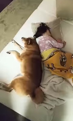 寄り添うロック君