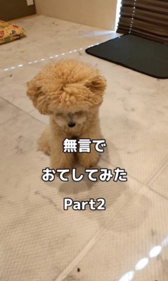 無言でおてをする凪ちゃん