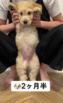 まるでぬいぐるみみたい♡