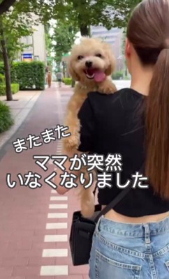 ママが急にいなくなった