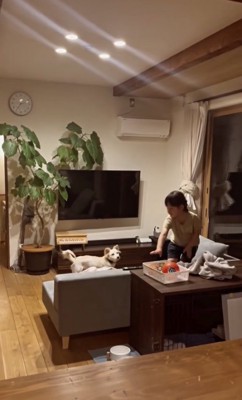 娘さんとも仲良し