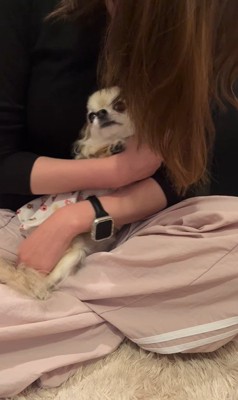 こはくちゃんとお姉ちゃんの再会⑩