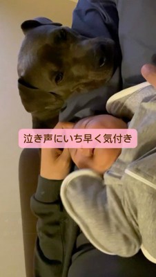 赤ちゃんの隣で寝そべる犬