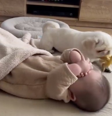タコのぬいぐるみで遊ぶまもるくん