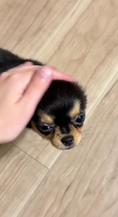 可愛すぎる光景にホッコリ