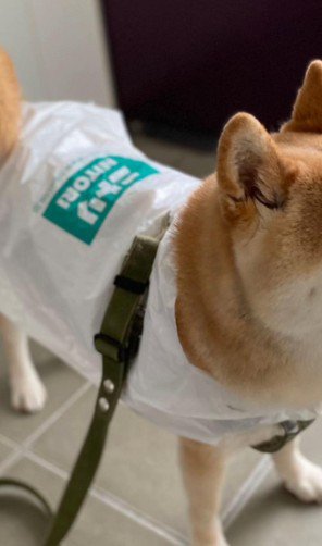 オシャレなロゴ入り!!