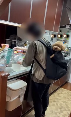 考え込むバッキーくん