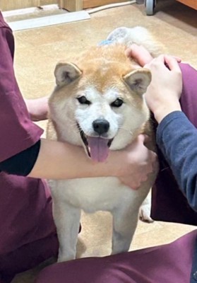 両手に花のまるちゃん