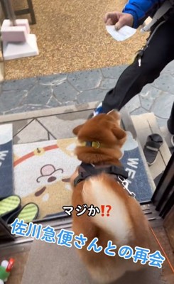 再会を喜ぶおいも君