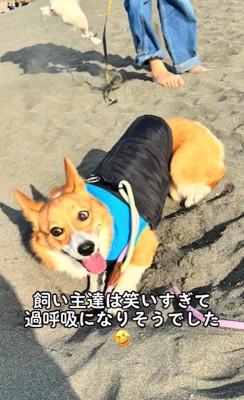 穴掘りを教わるラティちゃん⑩