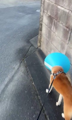 わざとやってる…？