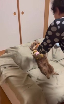 茶々丸くんとおばあちゃん2