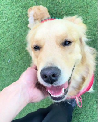 新しい家族が増えたよ♡