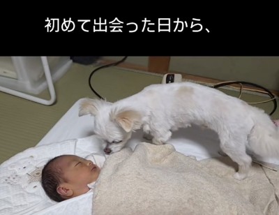 気になる存在…