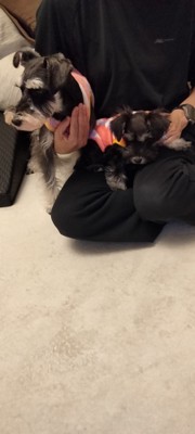 森伊蔵の投稿画像