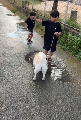 水たまりで遊ぶスズちゃんたち2