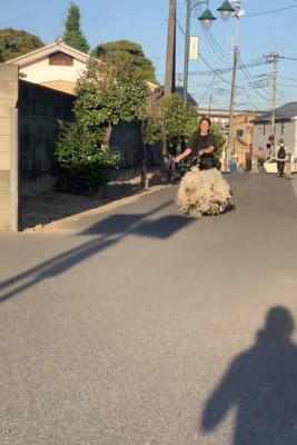 道を歩いてくる犬